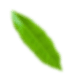 Object Leaf
